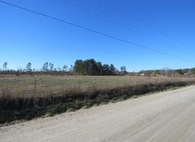 5+/- Acres of Farm Land For Sale in Horry County SC!