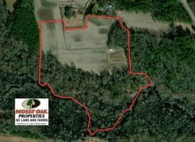 SOLD!  29 Acres of Hunting and Farm Land For Sale in Duplin County NC!