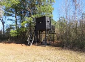 SOLD!!  110 Acres of Farm and Timber Land For Sale in Columbus County NC!