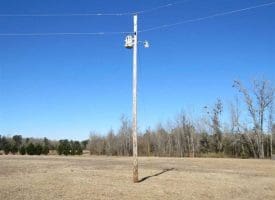 SOLD!!  110 Acres of Farm and Timber Land For Sale in Columbus County NC!