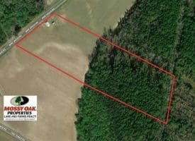 SOLD!!  14 Acres of Farm and Timber Land For Sale in Robeson County NC!