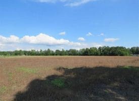 SOLD!!  19 Acres of Farm Land For Sale in Robeson County NC!