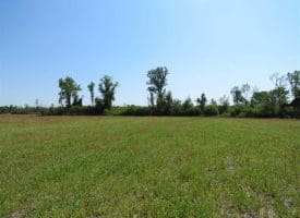 SOLD!!  20 Acres of Farm and Hunting Land For Sale in Robeson County NC!