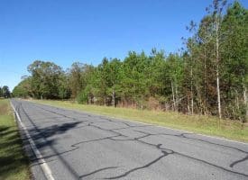 SOLD!!  58 Acres of Farm and Timber Land For Sale in Scotland County NC!
