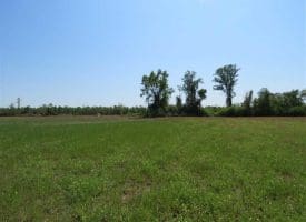 SOLD!!  20 Acres of Farm and Hunting Land For Sale in Robeson County NC!
