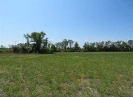 SOLD!!  20 Acres of Farm and Hunting Land For Sale in Robeson County NC!