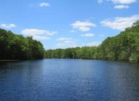 SOLD!! 65 Acres of Hunting and Residential Land For Sale in Horry County SC!