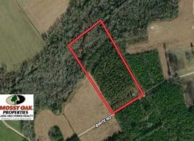 SOLD!!  12 Acres of Timber Land For Sale in Robeson County NC!