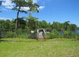 SOLD!! 65 Acres of Hunting and Residential Land For Sale in Horry County SC!