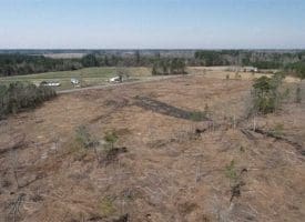 SOLD!!  29 Acres of Hunting and Timber Land For Sale in Robeson County NC!