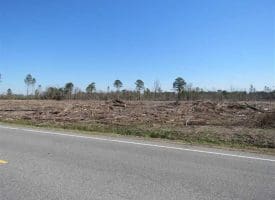 SOLD!!  29 Acres of Hunting and Timber Land For Sale in Robeson County NC!
