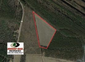 SOLD!!  20 Acres of Farm Land For Sale in Robeson County NC!
