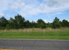 SOLD!!  44 Acres of Residential Land in Robeson County NC!