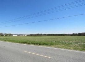SOLD!!  73 Acres of Farm and Timber Land For Sale in Robeson County NC!