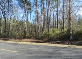 SOLD!!  2.45 Acres of Residential Land For Sale in Pender County NC!