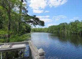 SOLD!! 65 Acres of Hunting and Residential Land For Sale in Horry County SC!