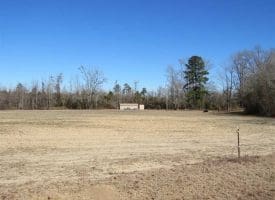 SOLD!!  110 Acres of Farm and Timber Land For Sale in Columbus County NC!