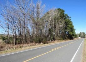 SOLD!!  110 Acres of Farm and Timber Land For Sale in Columbus County NC!
