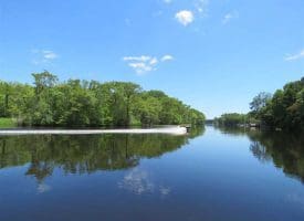 SOLD!! 65 Acres of Hunting and Residential Land For Sale in Horry County SC!