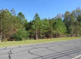 SOLD!!  58 Acres of Farm and Timber Land For Sale in Scotland County NC!