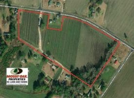 SOLD!!  19 Acres of Farm Land For Sale in Robeson County NC!