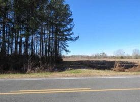 SOLD!!  110 Acres of Farm and Timber Land For Sale in Columbus County NC!