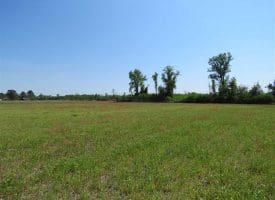 SOLD!!  20 Acres of Farm and Hunting Land For Sale in Robeson County NC!