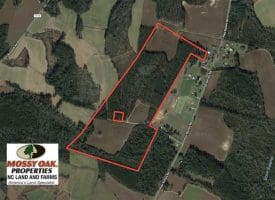 SOLD!!  97 Acres of Farm and Timber Land For Sale in Columbus County NC!