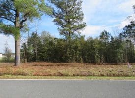 SOLD!!  55 Acres of Farm and Timber Land For Sale in Robeson County NC!