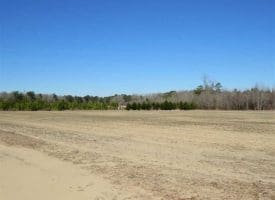 SOLD!!  110 Acres of Farm and Timber Land For Sale in Columbus County NC!