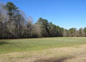 SOLD!!  110 Acres of Farm and Timber Land For Sale in Columbus County NC!
