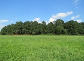 SOLD!!  18 Acres of  Timber and Hunting Land For Sale in Columbus County NC!