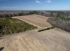 SOLD!!  110 Acres of Farm and Timber Land For Sale in Columbus County NC!