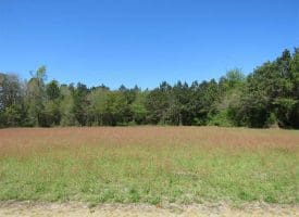 SOLD!!  15 Acres of Residential and Hunting Land For Sale in Robeson County NC!