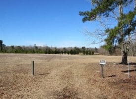 SOLD!!  110 Acres of Farm and Timber Land For Sale in Columbus County NC!