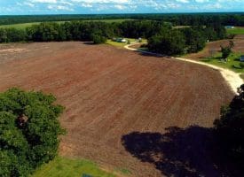 SOLD!!  19 Acres of Farm Land For Sale in Robeson County NC!