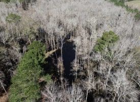 SOLD!!  110 Acres of Farm and Timber Land For Sale in Columbus County NC!