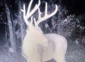 SOLD!!  70 Acres of Farm and Timber Land For Sale in Scotland County NC!