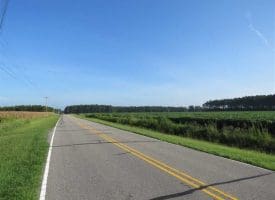 SOLD!!  97 Acres of Farm and Timber Land For Sale in Columbus County NC!