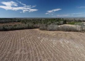 SOLD!!  110 Acres of Farm and Timber Land For Sale in Columbus County NC!