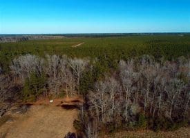 SOLD!!  2.45 Acres of Residential Land For Sale in Pender County NC!