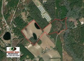 SOLD!!  70 Acres of Farm and Timber Land For Sale in Scotland County NC!