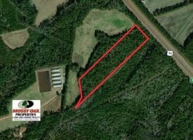 SOLD!!  18 Acres of  Timber and Hunting Land For Sale in Columbus County NC!