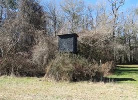 SOLD!!  110 Acres of Farm and Timber Land For Sale in Columbus County NC!