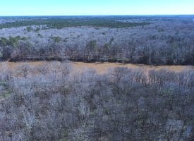 140+/- Acres of River Front Hunting Land For Sale in Bladen County NC!