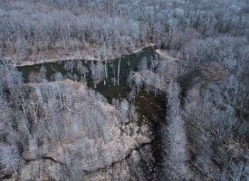 140+/- Acres of River Front Hunting Land For Sale in Bladen County NC!