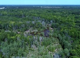 140+/- Acres of River Front Hunting Land For Sale in Bladen County NC!