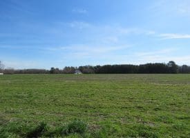 Residential Lots For Sale in Columbus County NC!