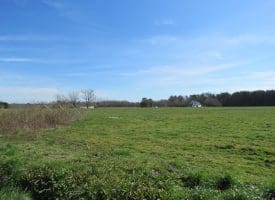 Residential Lots For Sale in Columbus County NC!