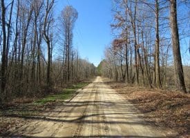 140+/- Acres of River Front Hunting Land For Sale in Bladen County NC!